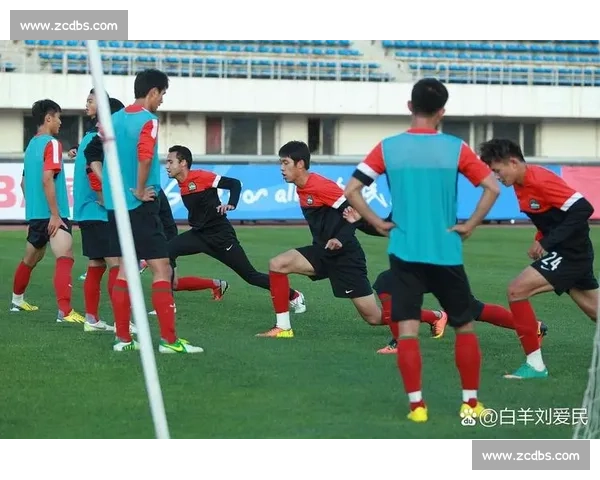 以足球基地为核心打造全面发展的青少年体育培训体系